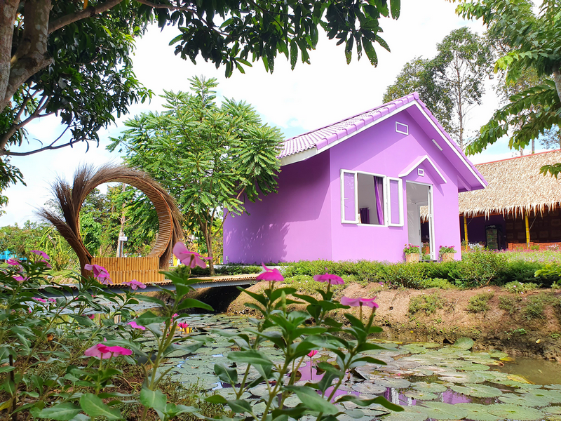 căn nhà màu tím